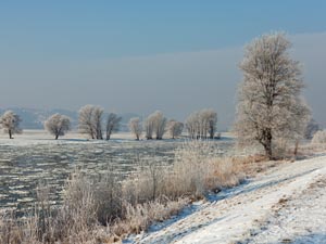 Das Alte Land im Winter