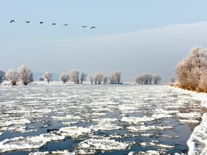 Das Alte Land im Winter